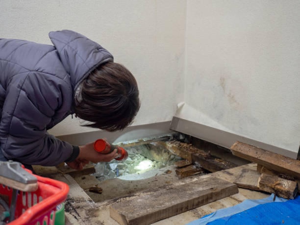 Best Dehumidification Services  in Croom, MD