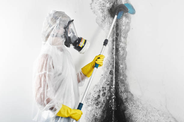 Best Mold Documentation for Insurance Claims  in Croom, MD