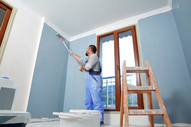 Croom, MD Mold Removal Company