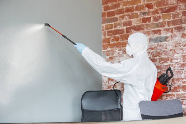 Best Mold Removal for HVAC Installations  in Croom, MD