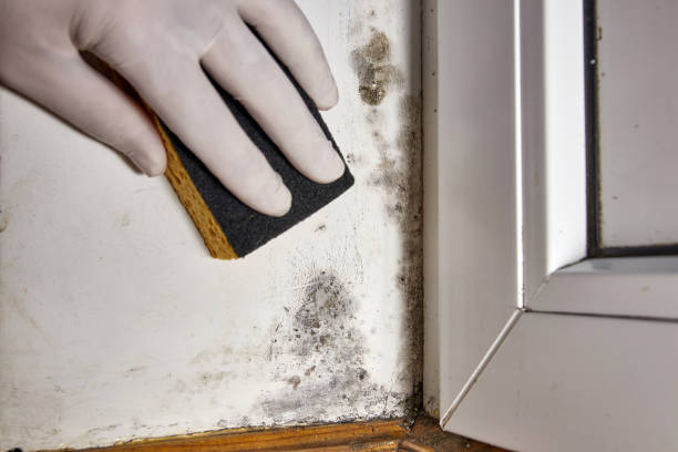 Best Forensic Mold Investigation  in Croom, MD