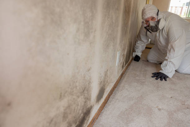 Mold Remediation for Rental Properties in Croom, MD
